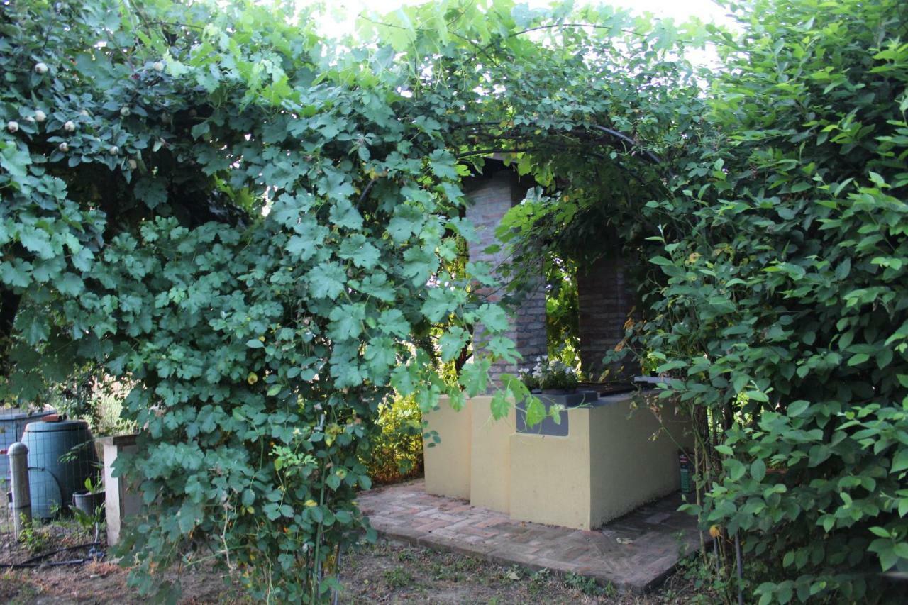 B&B Il Pozzo Castenaso Zewnętrze zdjęcie